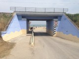 IMG_1538
