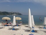 IMG_1584