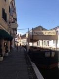 IMG_1887