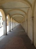 IMG_1903