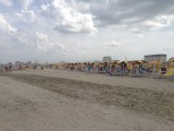 IMG_1931