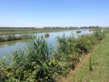 IMG_2202