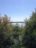 IMG_2213