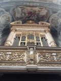 IMG_2253