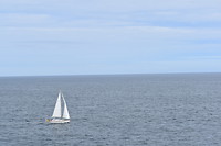 D950005D-CD0E-4A06-92A2-EAF0C853AA82