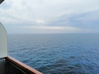 60D49561-F719-4D26-94AC-BF6799D825F6