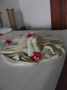 DSCF6887