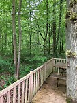 IMG_8815