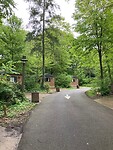 IMG_8819