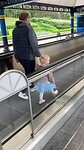IMG_9072