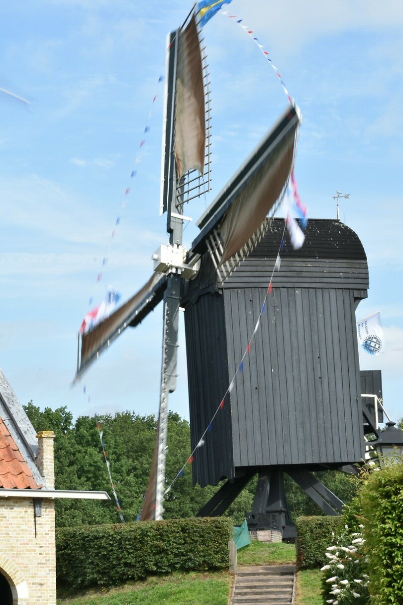 DSC_0886