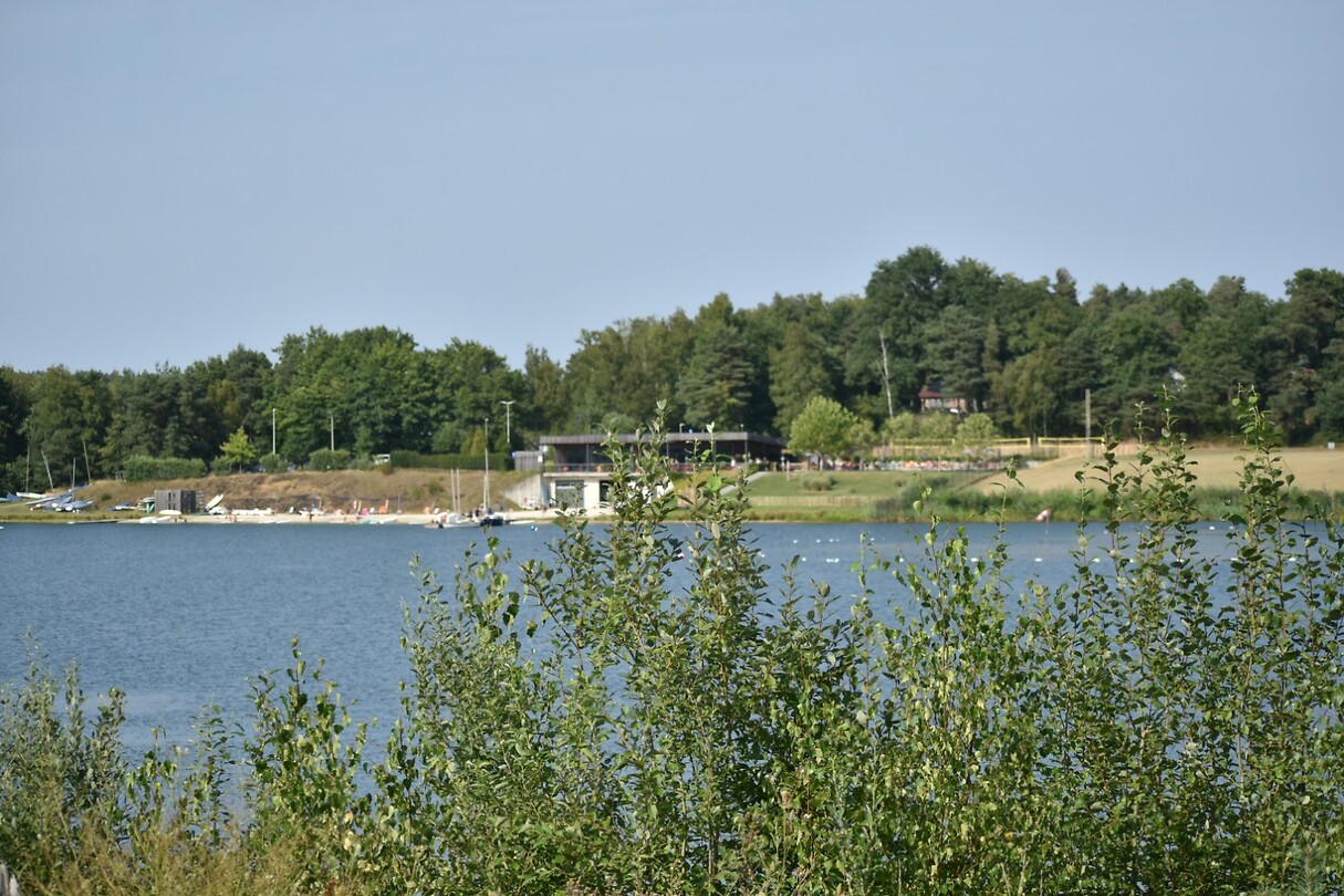 DSC_0584