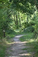 DSC_0591