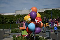 DSC_0662
