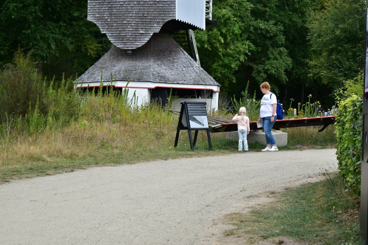 DSC_0082