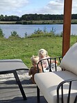 IMG-20250817-WA0060