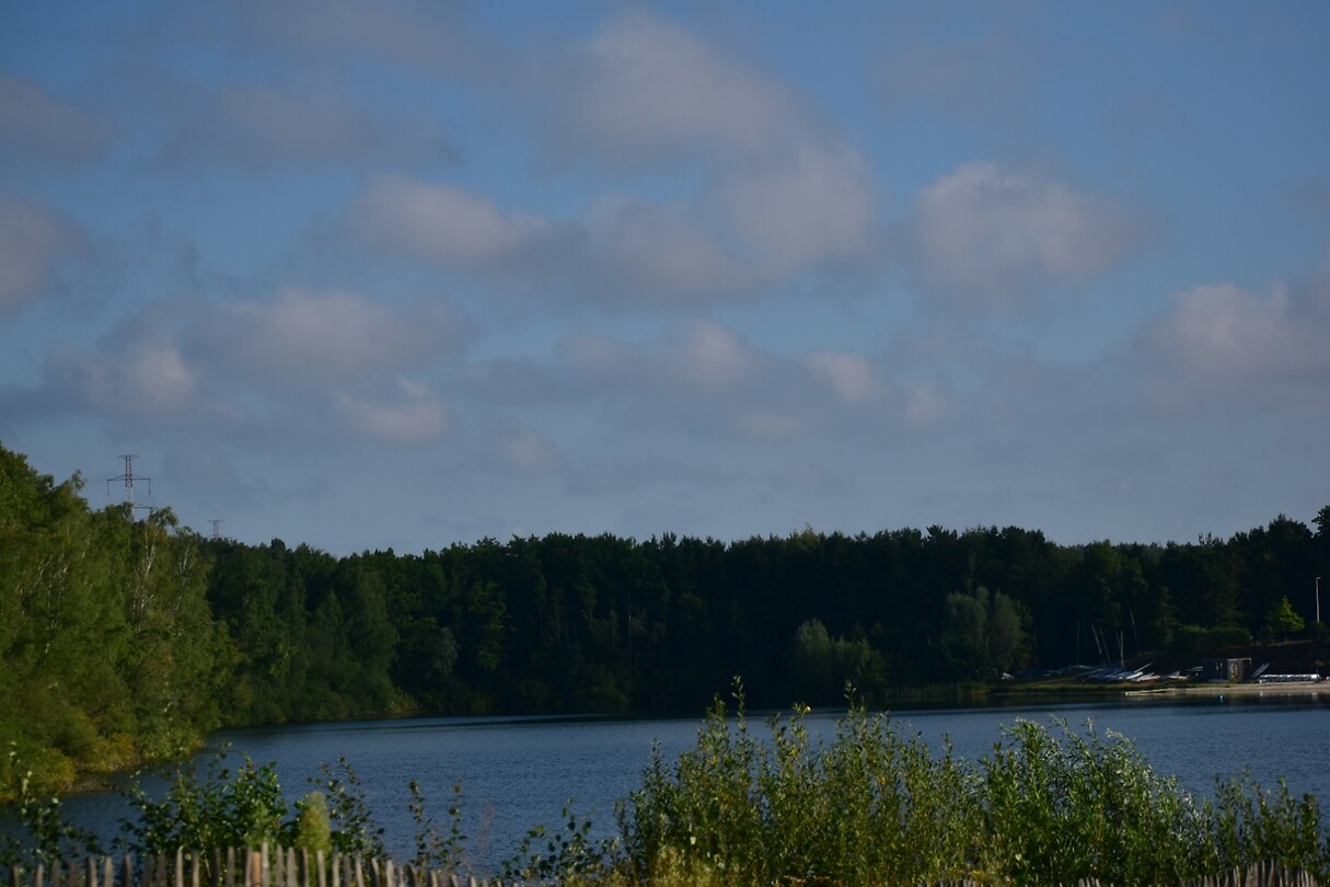 DSC_0152