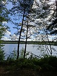 IMG-20250818-WA0044