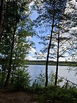 IMG-20250818-WA0046