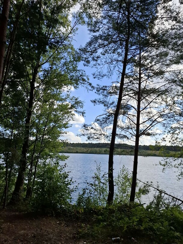 IMG-20250818-WA0046