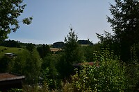 DSC_0291