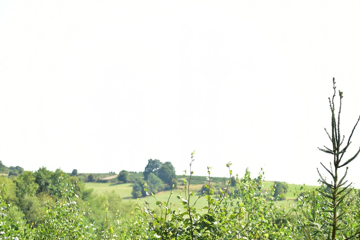 DSC_0320
