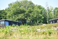 DSC_0331