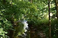 DSC_0355