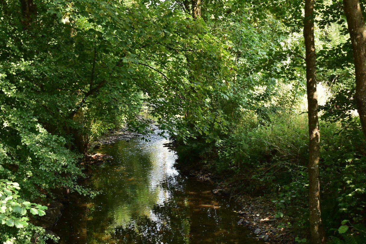 DSC_0355