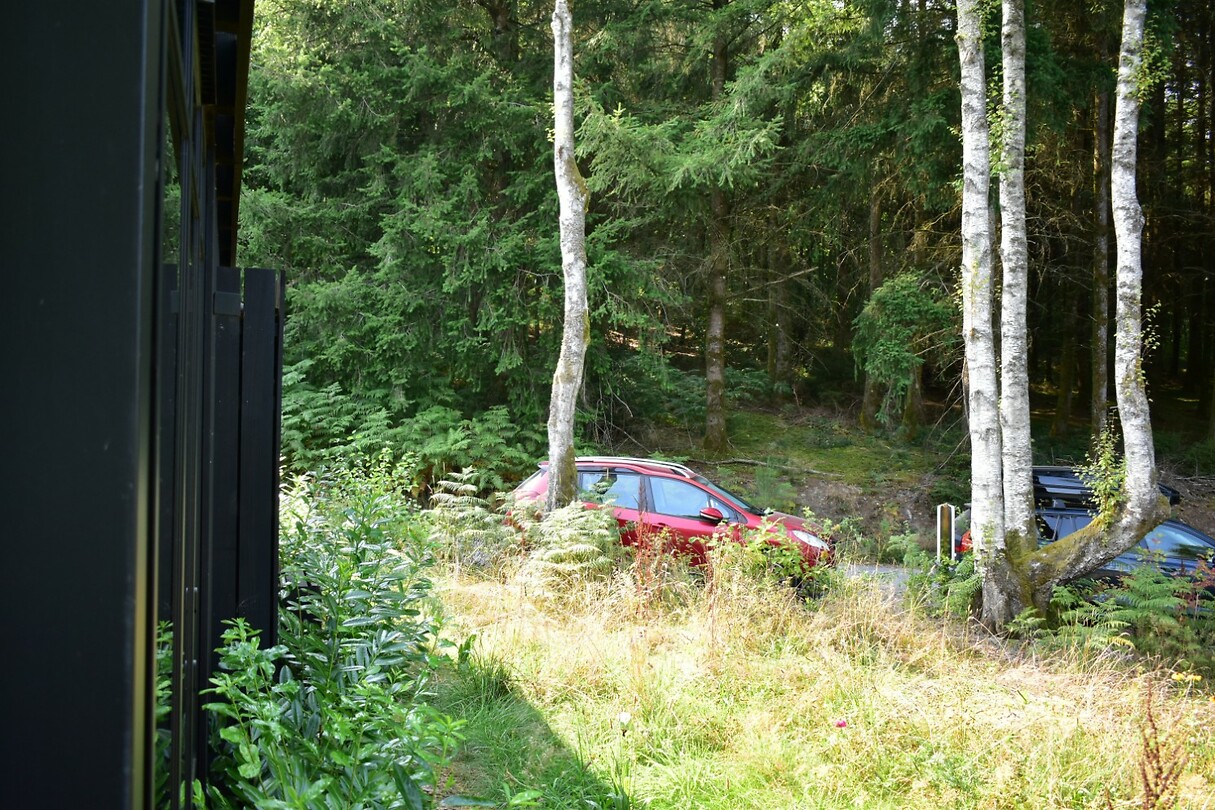 DSC_0415