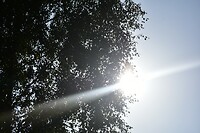 DSC_0419