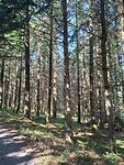 IMG-20250821-WA0115