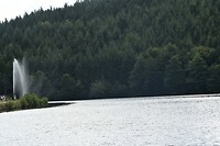 DSC_0242