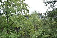 DSC_0348