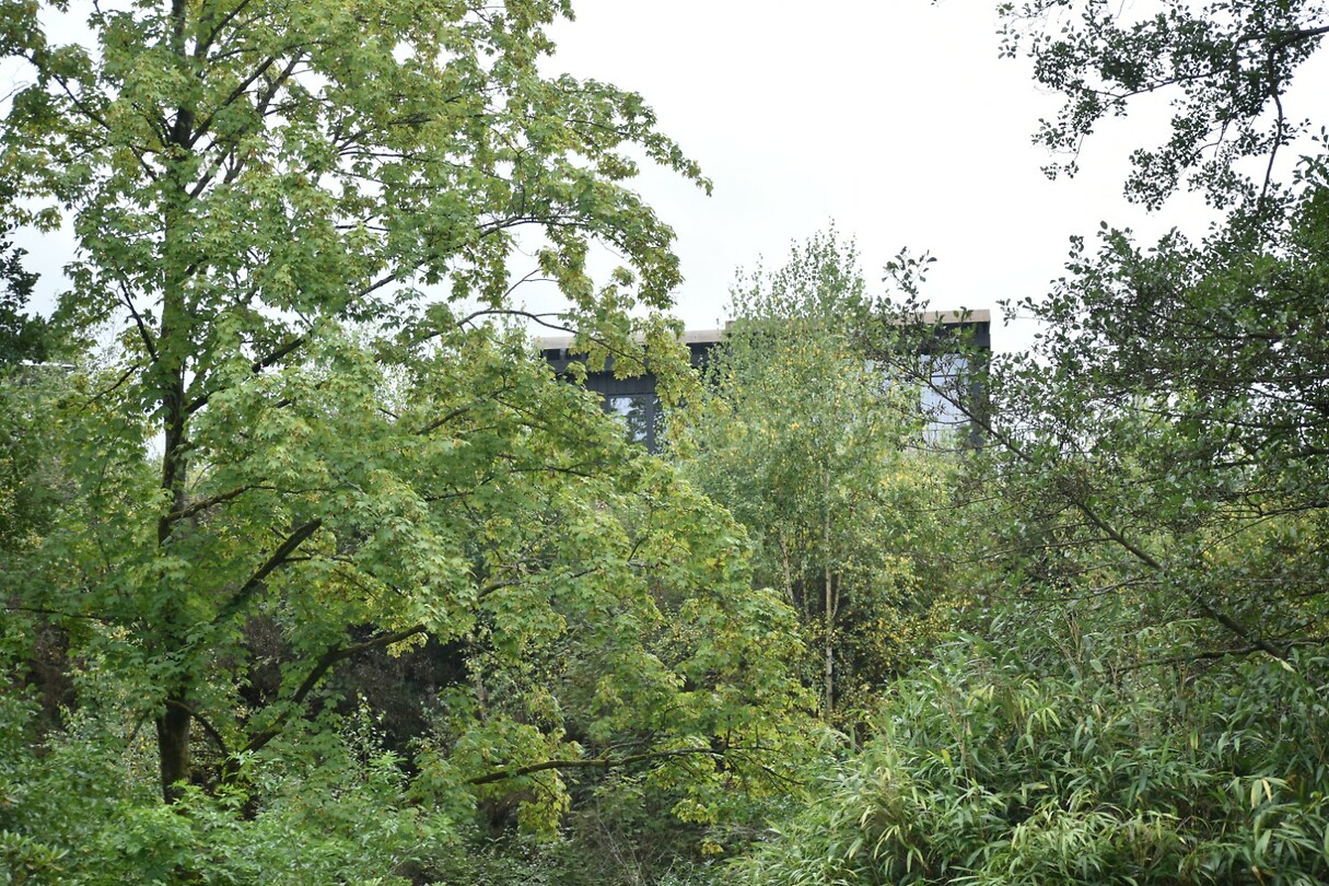 DSC_0348