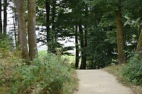 DSC_0565