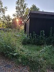 IMG-20250824-WA0063