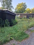 IMG-20250824-WA0065