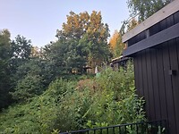 IMG-20250824-WA0102