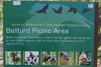 informatiebord over de flora en fauna van het park