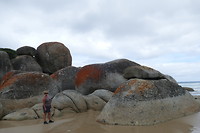 Rotspartij op het strand in Wilson Prom Baai