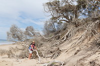 Duinafslag bij het strand van Portsea