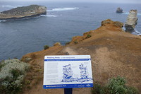 Info Bay of Islands