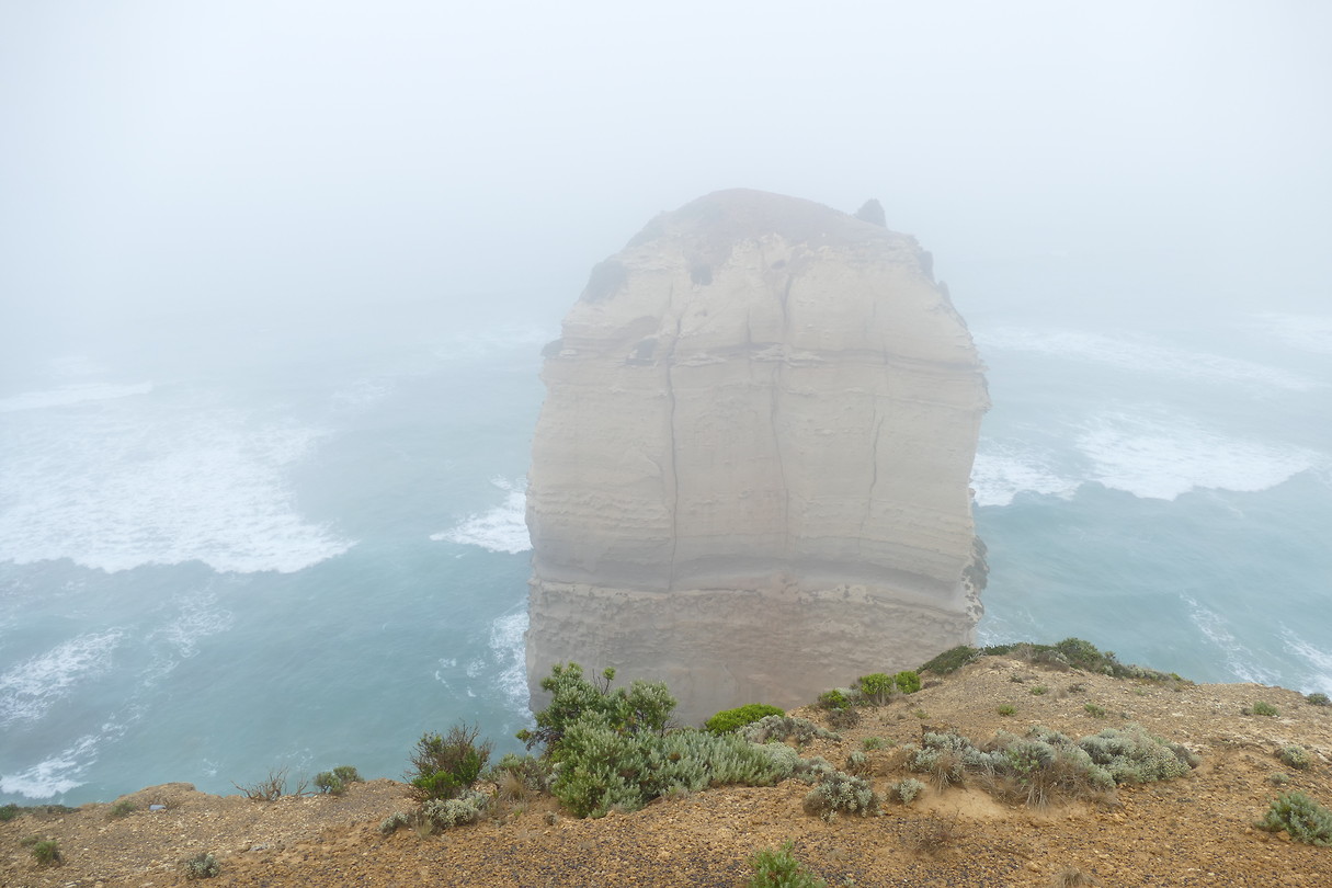 Dit zagen wij van de Twelve Apostles