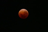 Maansverduistering in Melbourne. Een bloedmaan.