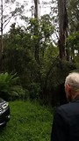 Rijdend door Tarra Bulga National Park