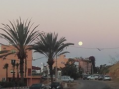 20160223_070901