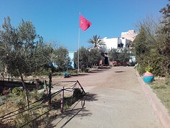 20160225_110406