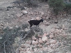 20160724_201145
