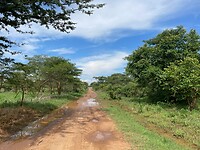 Wandelen na de bui